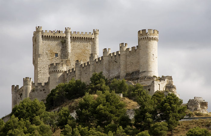 Día Libre en Ribera del Duero