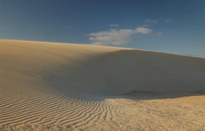 Disfruta de un paseo en camello por las dunas de Corralejo