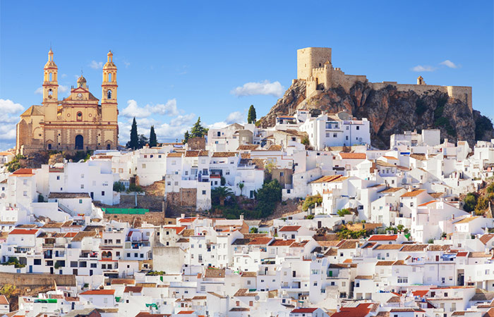 Excursión de un día a los Pueblos Blancos y Ronda