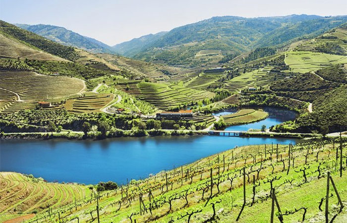 Excursión de un día al valle del Duero, recorrido vinícola y crucero fluvial