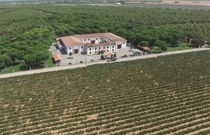 Excursión del Vino en La Mancha