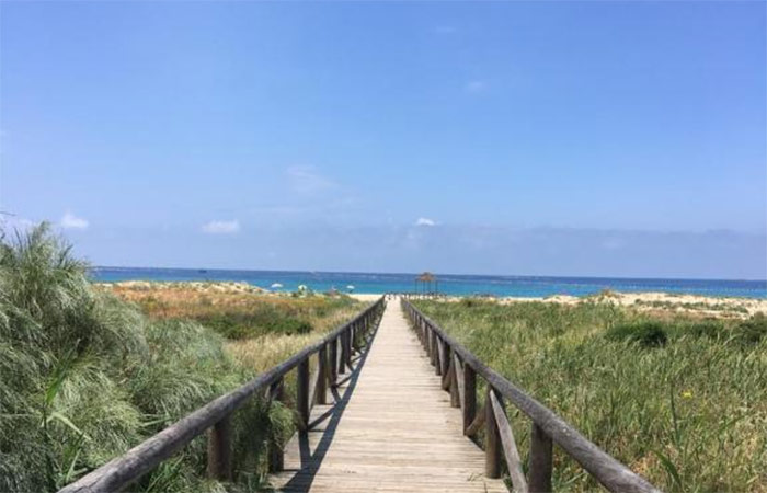 Explora Conil y la Costa de la Luz