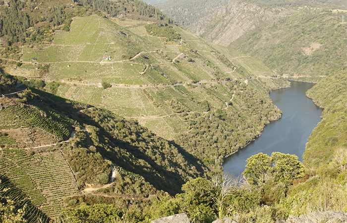 Paseo en barco por la Ribeira Sacra, viaje a Vigo