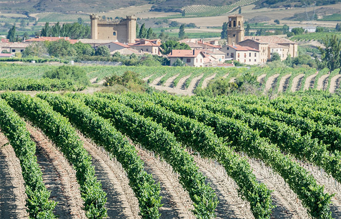 Traslado a Bilbao, Ruta del Vino La Rioja