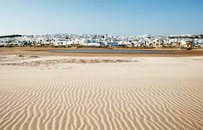 Tren a Sevilla, viaje a Conil de la Frontera