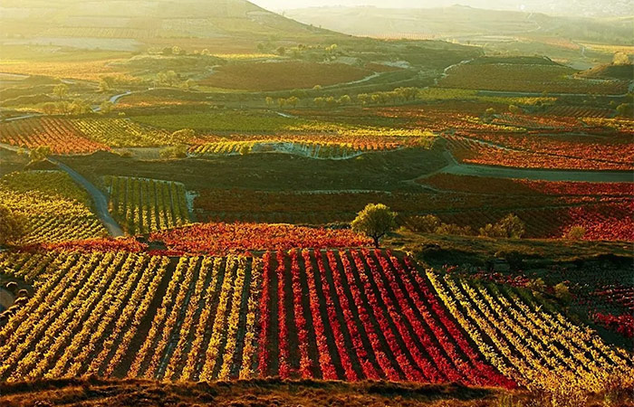 Viaje a La Rioja, Actividades Opcionales