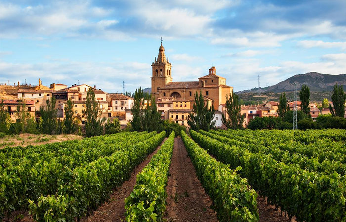 Viaje a Ribera del Duero