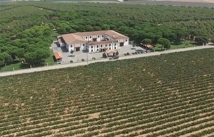 Viaje de Almagro a Villanueva - Ruta del vino