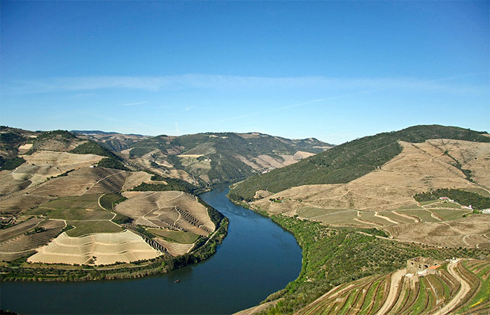 Visita al valle del Duero para una cata de vinos.