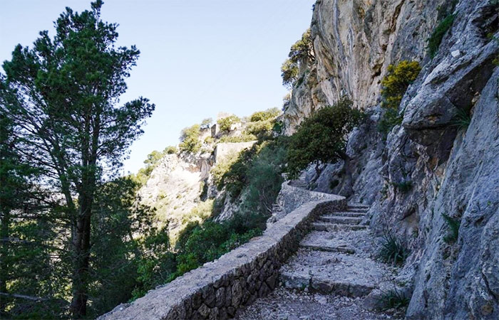 Caminata por la sierra de Tramuntana y recorrido por los pueblos