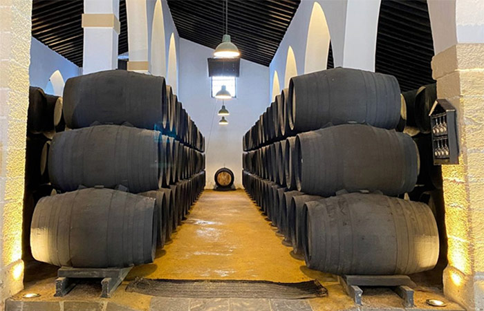 Excursión de un día a Jerez para cata de vinos y caballos danzantes