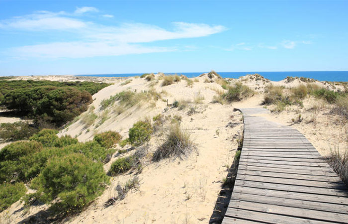 Viaje a Jerez de la Frontera, visita al Parque Nacional de Doñana