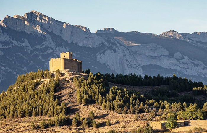 Viaje a La Rioja, día libre y alojamiento en un viñedo